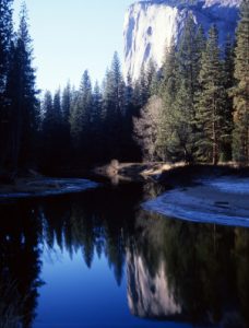 Last Jubilee natural personal growth