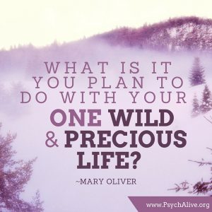 What is it you plan to do with your one wild and precious life