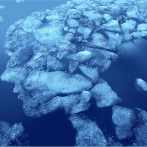 Polarized Mind to Awe